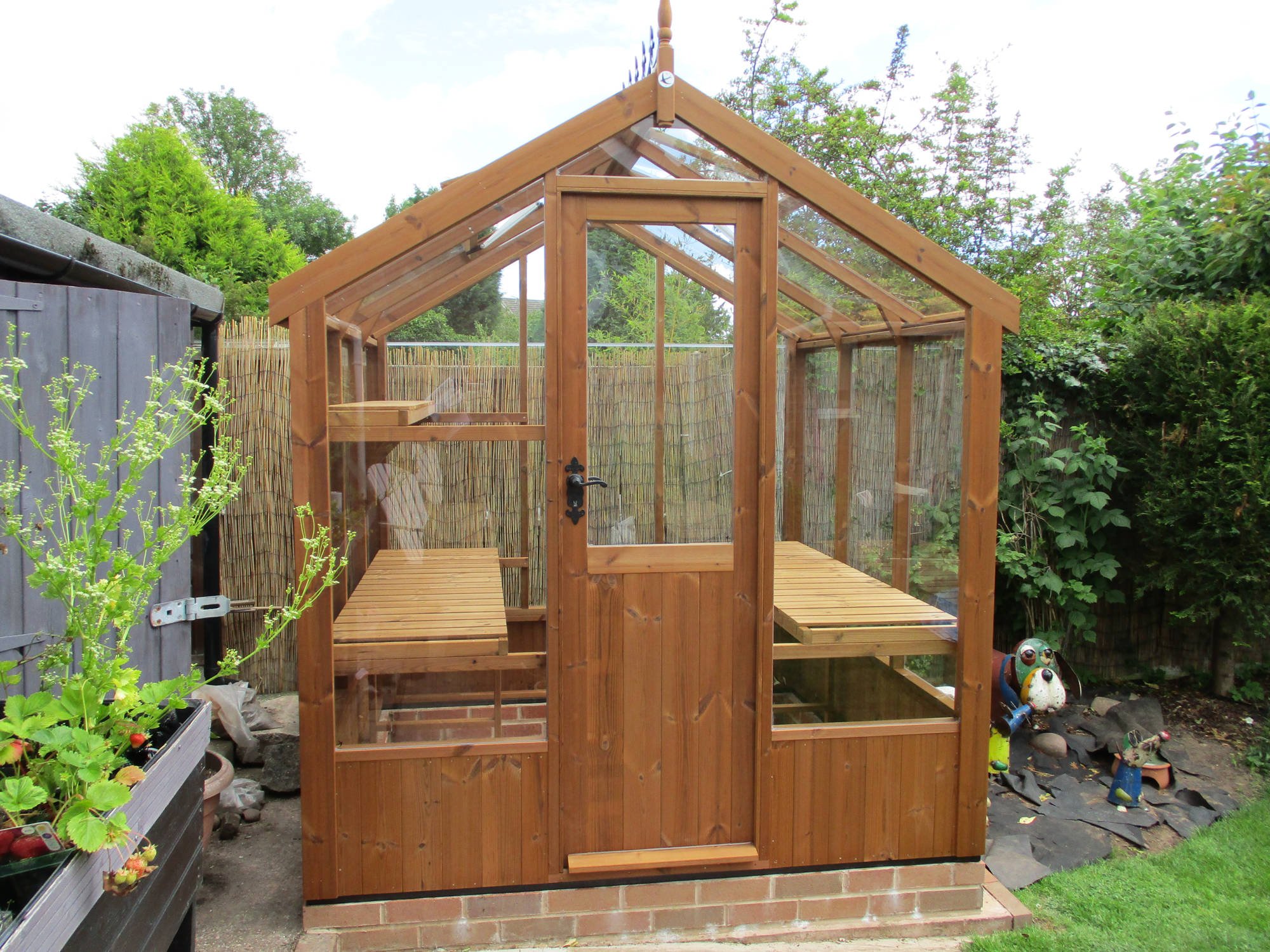 Swallow Kingfisher 6x8 Wooden Greenhouse