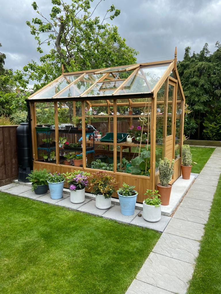 Swallow Kingfisher 6x8 Wooden Greenhouse