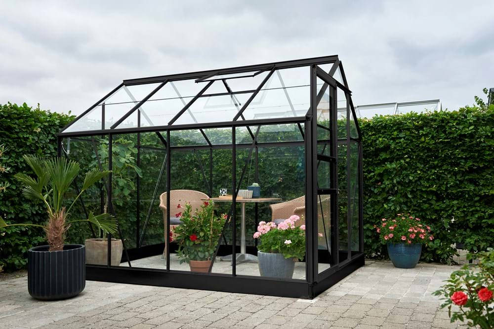 6x6 Black Halls Popular Greenhouse Toughened