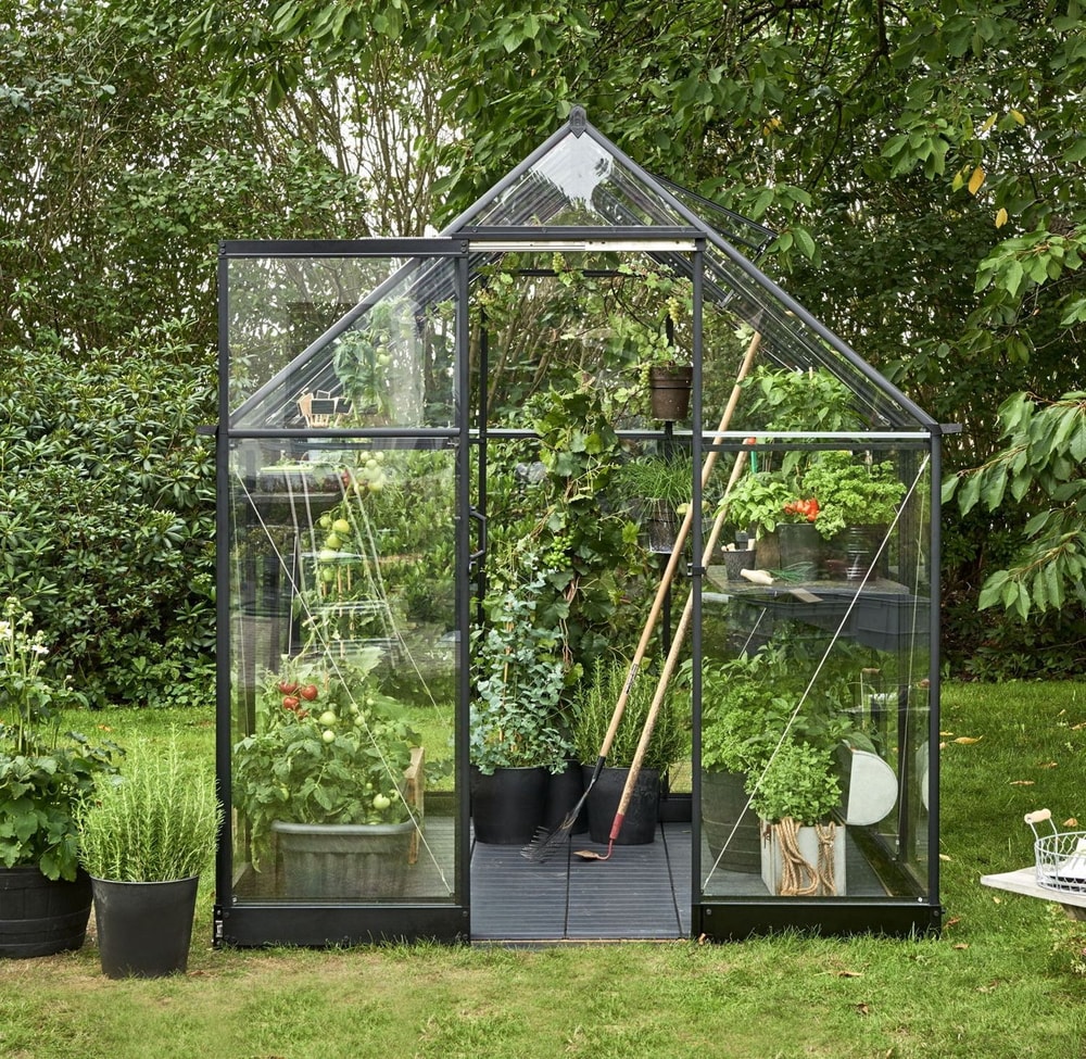 8x6 Halls Qube Greenhouse | Free UK Delivery