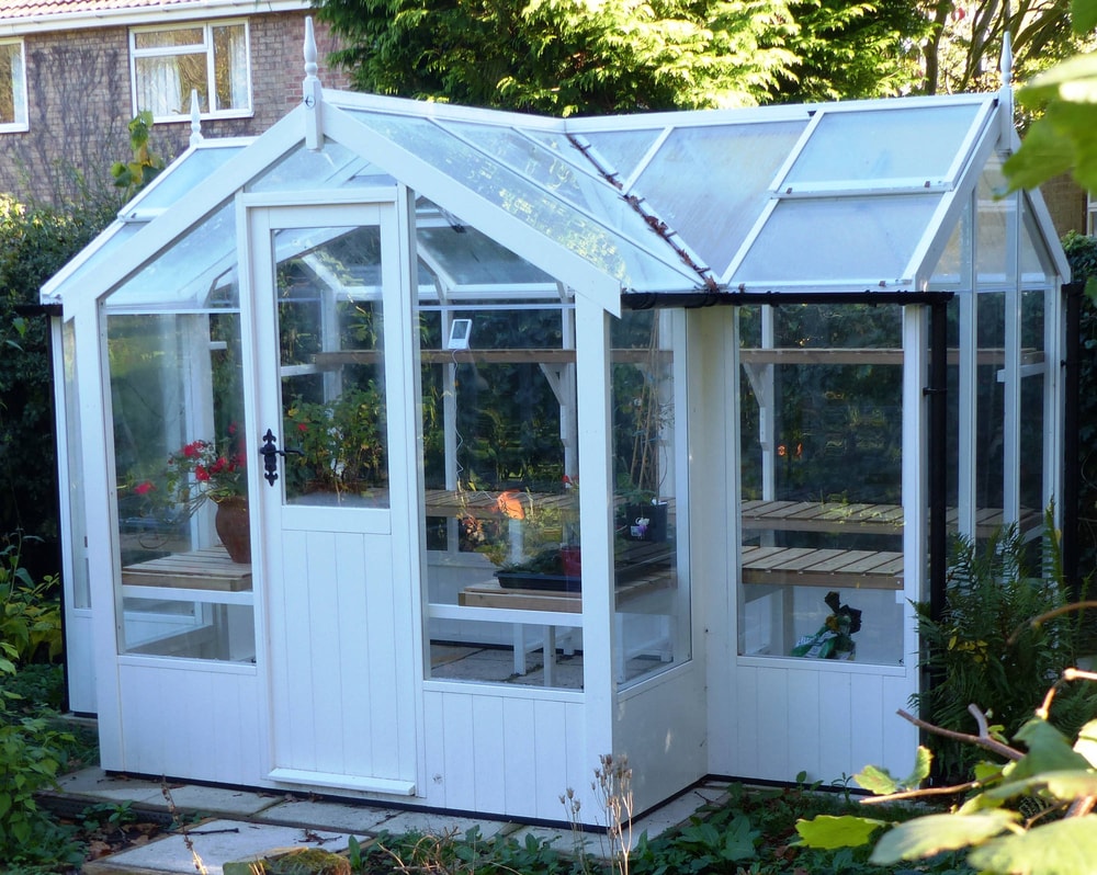 Swallow Cygnet 6x11 T-Shaped Wooden Greenhouse