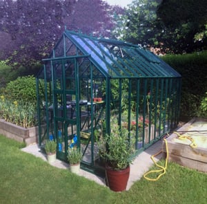 Elite 6x10 Dwarf Wall Greenhouse Toughened | SALE