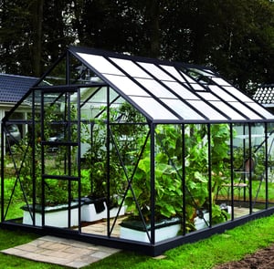 8x10 Greenhouses | Free UK Delivery