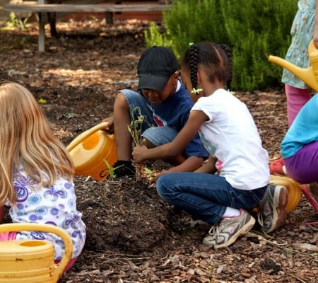 Why Are Young People Turning To Gardening?