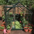 6x8 Green Halls Popular Greenhouse in Toughened Glass