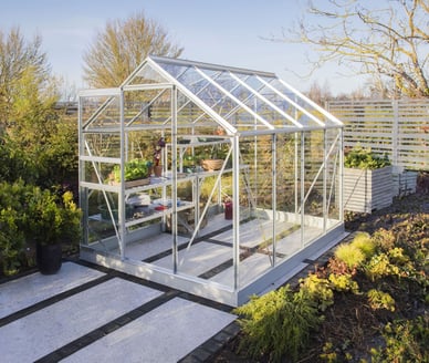 Vitavia 8x6 Venus 5000 Greenhouse - Toughened Glass