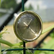 Vitavia Hygrometer