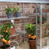 2x5 Access Harlow Aluminium Mini Lean to Greenhouse Shelving