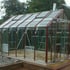 Elite Belmont 8x12 Greenhouse with Terracotta Capping