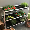 3 Tier Seed Tray Frame