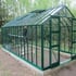 Elite Thyme 16x8 Green Greenhouse