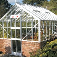 Elite Thyme 8x20 Dwarf Wall Greenhouse - Toughened Glazing