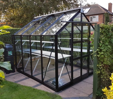 Elite Titan 700 10x7 Greenhouse | SUMMER SALE