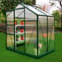 6x4 Green Ashby Polycarbonate Greenhouse