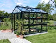 8x10 Janssens Master Victorian Greenhouse