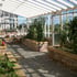 Janssens Arcadia Plus Mur Lean To Dwarf Wall Greenhouse Interior