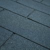 Black Shingles