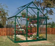 Palram Canopia Harmony 6x6 Green Greenhouse - Clear Polycarbonate