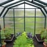 Palram Canopia Hobby Gardener 8x16 Greenhouse with Staging