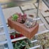 Access 2x3 Wheeled Mini Greenhouse Shelves