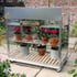 Access 2x3 Wheeled Mini Greenhouse