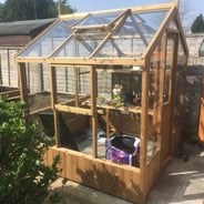 Swallow Kingfisher 6x6 Wooden Greenhouse