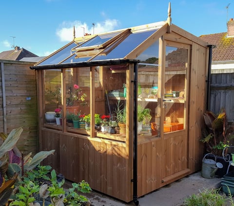 Swallow Jay 6x6 Wooden Potting Shed | Installed for Free