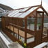 Swallow Kingfisher 6x10 Combi Greenhouse Oiled