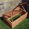 Swallow Sparrow Cold Frame Oiled