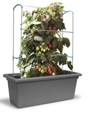 Gardenico Magnus Self Watering Living Wall Kit 1000mm Stone Grey