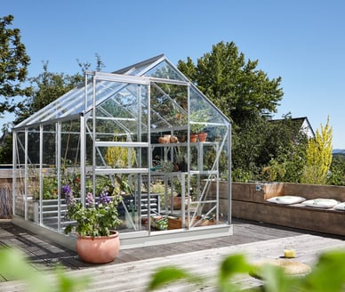 Vitavia 8x6 Venus 5000 Greenhouse - Toughened Glass