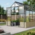 Vitavia Cassandra Black 8x10 8300 Dwarf Wall Greenhouse