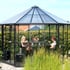 NEW Vitavia Hera 9000 Black Greenhouse