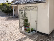 Vitavia 2x4 IDA 900 Lean to Greenhouse - Toughened Glass