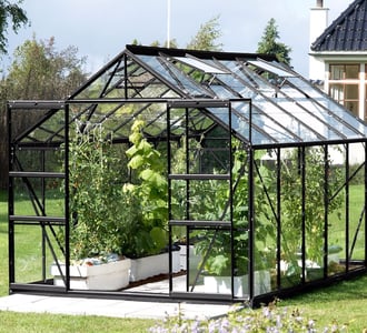 Vitavia Jupiter Green 8x14 Greenhouse