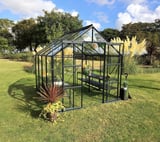 Vitavia 8x8 Black Phoenix 6700 Greenhouse - Horticultural Glass