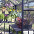 Vitavia Phoenix Black 8x10 Greenhouse Staging