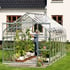 Vitavia Saturn Silver 8x14 Greenhouse With Toughened Glazing