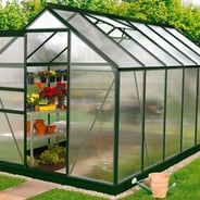 Vitavia 6x12 Green Venus 7500 Greenhouse - Polycarbonate Glazing